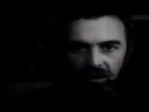 ბეღურების გადაფრენა (ამას მე მეუბნებით ? )