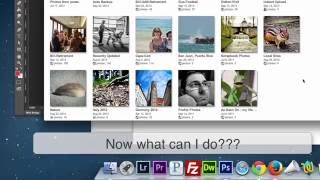 Collaborative Albums in Picasa and Google+