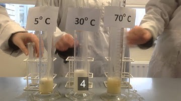 Effect of temperature catalase action