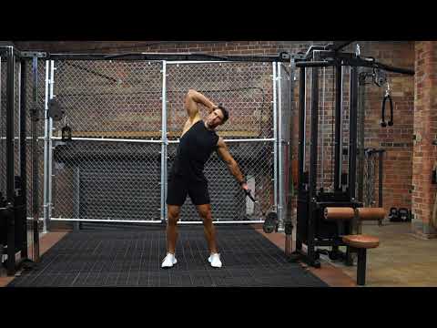 Low Cable Oblique Side Bends | The Fitness Maverick Online Coaching