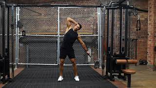 Low Cable Oblique Side Bends | The Fitness Maverick Online Coaching