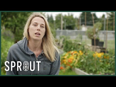 From Godfrey Steps to Buckwheat Pancakes: Gardens Grow Minds