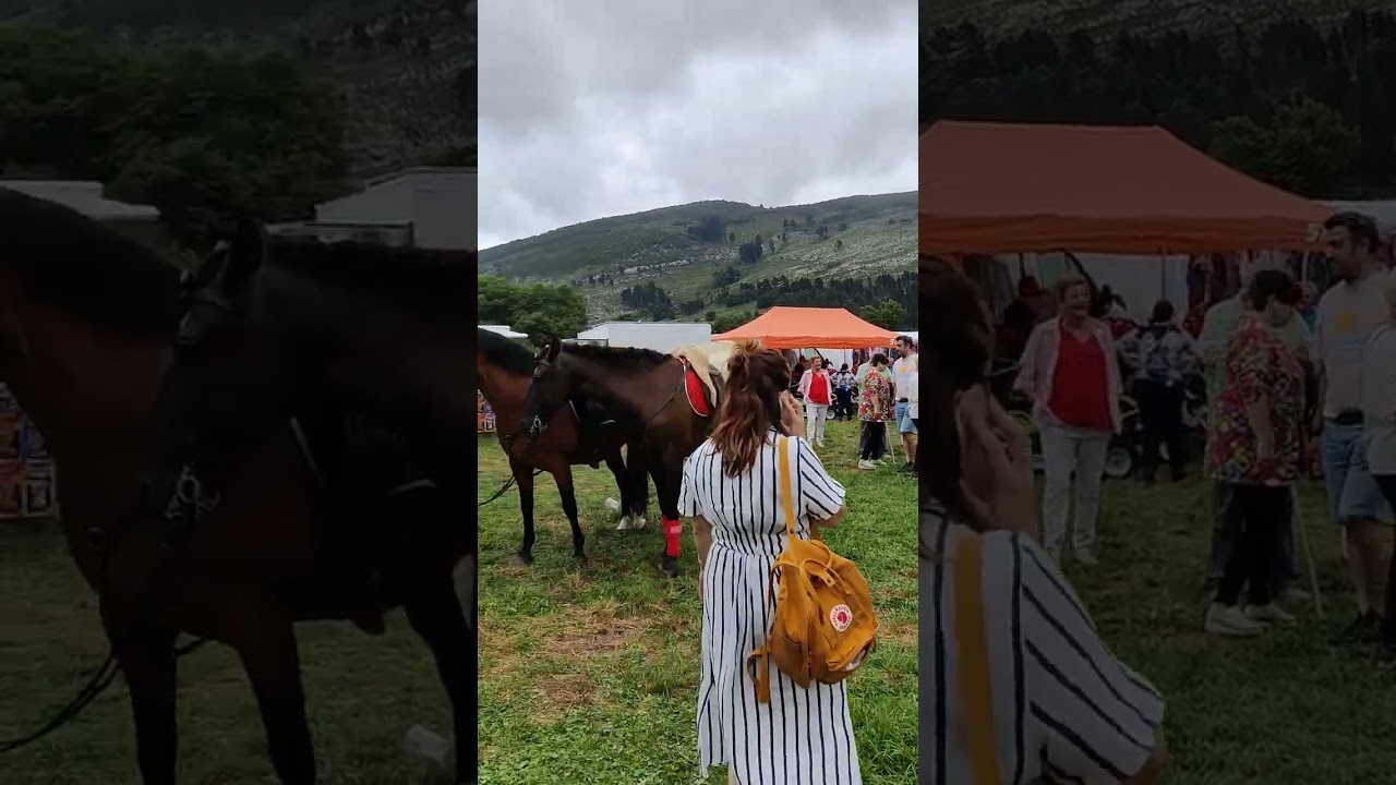 Feria Virgen Del Palacios San Miguel De Aras Cantabria España