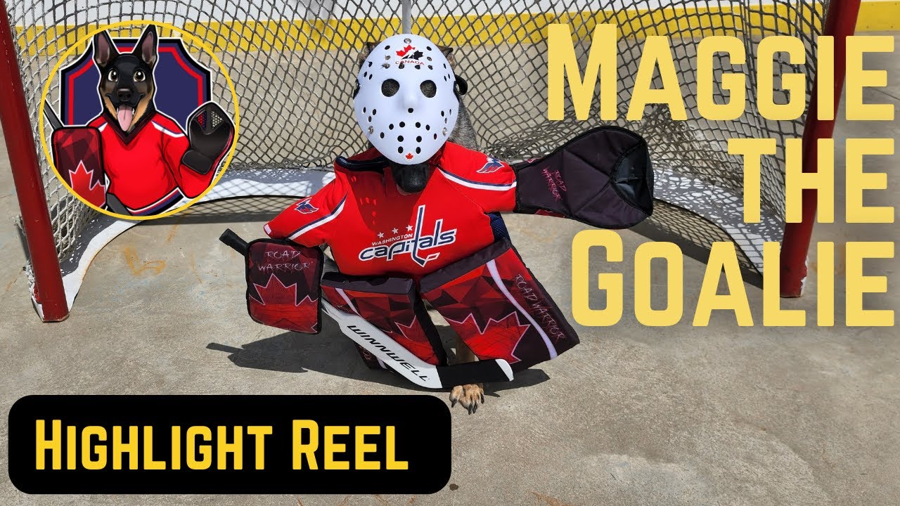 Highlights from Maggie the Goalie The Hockey Dog YouTube