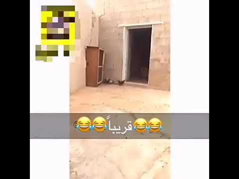 المعلمه عندما توبخ الطلبه