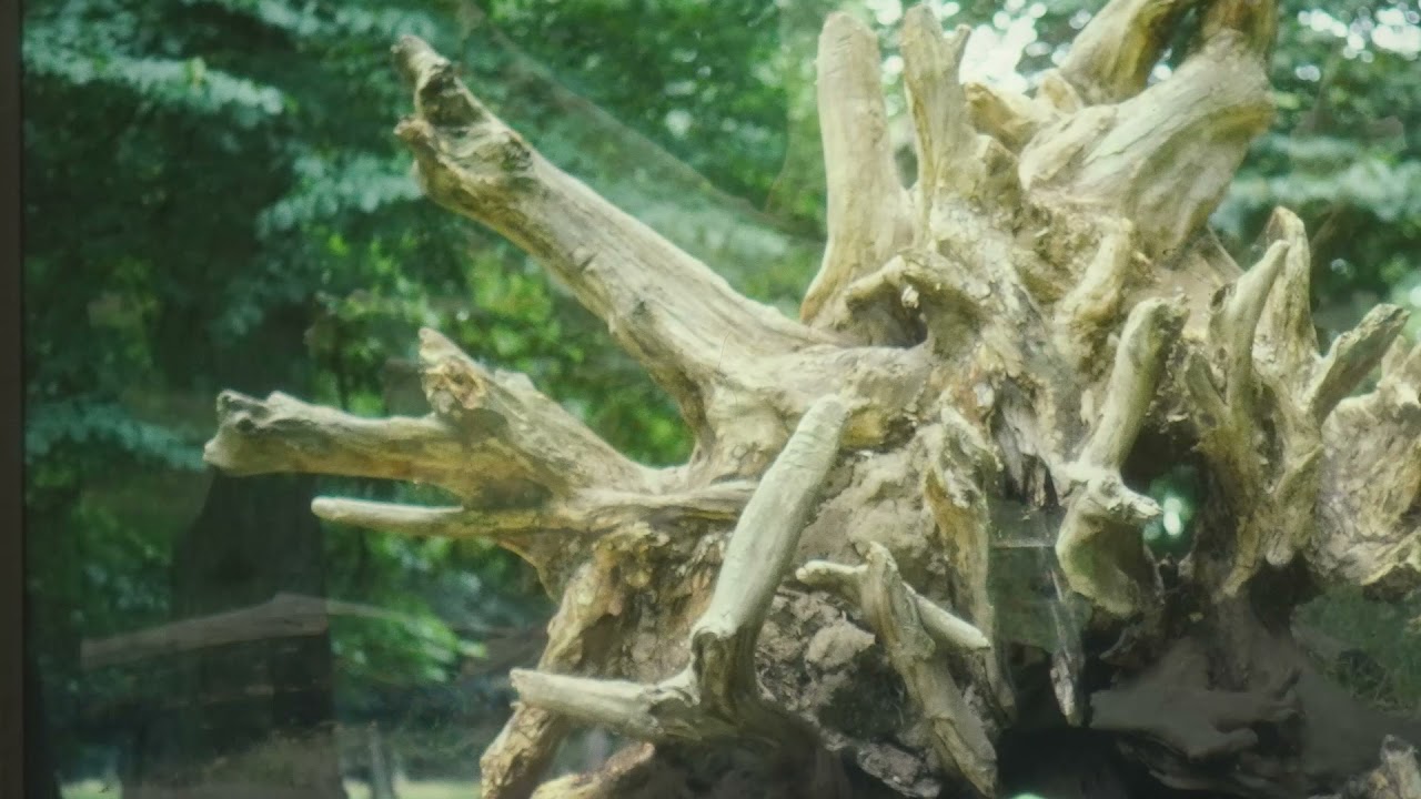 Klaus Schønning's original 'Lydglimt-slideshow' from the late 70ies. Full video.