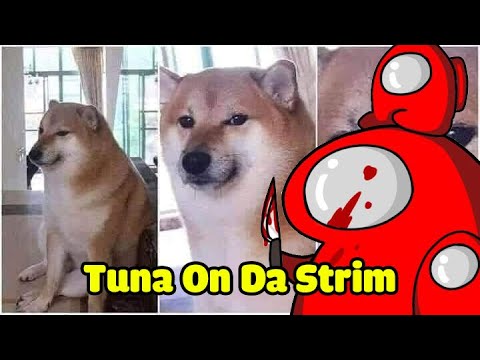 Hướng Dẫn Nhảy Cầu