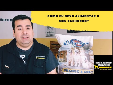 Vídeo: Como Alimentar Cães Em Risco De GDV