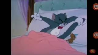 TÉLÉCHARGER VIDEO TARJAMA TOM AND JERRY VIDEO JERRY AND TARJAMA TÉLÉCHARGER TOM
