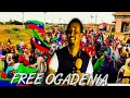 WIILKII CABDI ILEY OO ONLF AFKUU KU CAAYI JIRAY MANTA KU AMAANA HEES CUSUB 2018 WIILKII CABDI ILEY OO ONLF AFKUU KU CAAYI JIRAY MANTA KU AMAANA HEES CUSUB 2018
