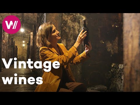 Spain - The largest wine growing territory in the world | World Wine Civilization
