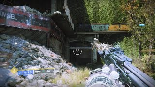 Destiny 2 - Two-Tailed Fox Catalyst