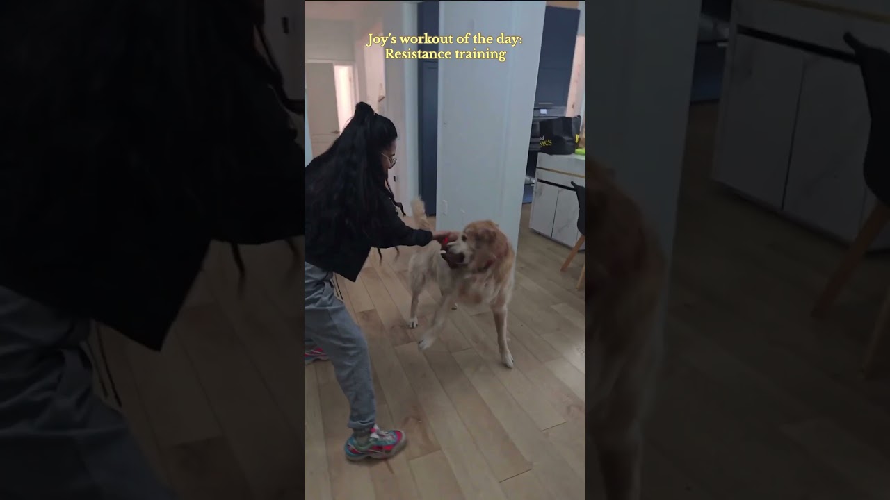 Joy Never Skips Leg Day — or Tug Day 💪🐕 