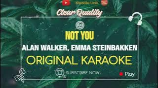 Alan Walker - Not You Karaoke