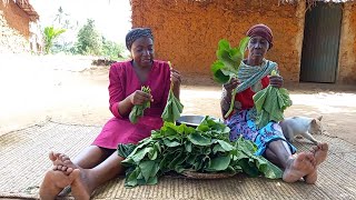 African Village Life\/\/Cooking Traditional African Vegetables