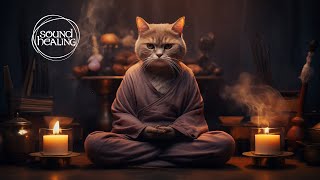 Instant Serenity | Healing Music  for Cats