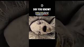 This MUMMY Is NOT Human #history #facts