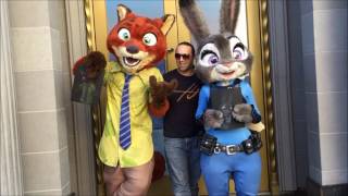 Dca Zootopia Meet & Greet With Judy Hopps And Nick Wilde