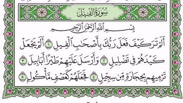 سورة الفيل || بصوت الشيخ/ فيصل مولوي