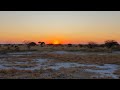 Series 1 : EP 18: Cranes, Stampede, Galago - Onguma Lodge to Roys Rest Camp Via Etosha North