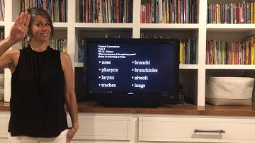 CC3 Science Wk 10 Respiratory System