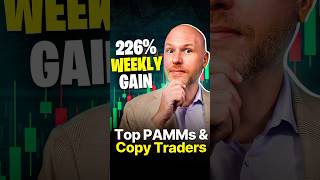 226% Weekly Gains! Passive Profit Report (Top Copy Traders)