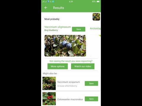 PlantSnap identifies a