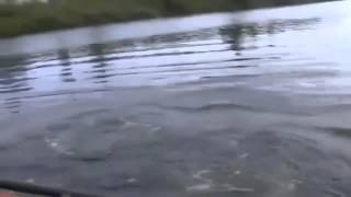 ПРИКОЛЫ НА РЫБАЛКЕ 11 ПРИКОЛЫ НА РЫБАЛКЕ 11