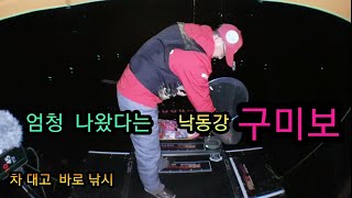 붕어낚시 낙동강 구미보 월척 마릿수붕어는 기본 4짜붕어가 나오는곳 대물붕어낚시(Korean big fishing)