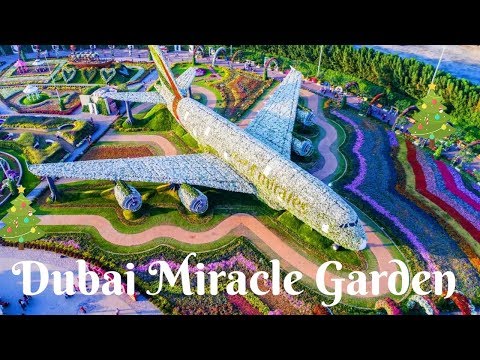 Dubai Miracle Garden tour 2019 !!