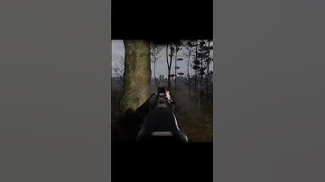 When Loners try to attack Renegades