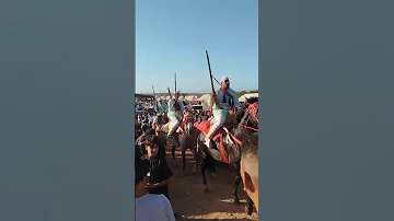 أصغر فارس الفرسان التبوريدة بموسم الوالي الصالح سيدي محمد الخياطي بالخيايطة عمالة برشيد 