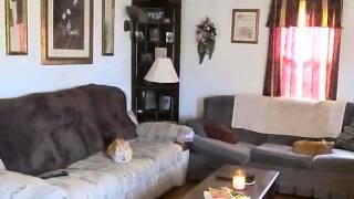20697 Jewett Ln video tour