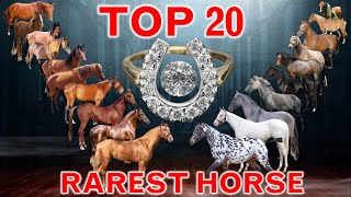 Top 20 Rarest Horse Breeds in the World | Less than 600 Horse Population