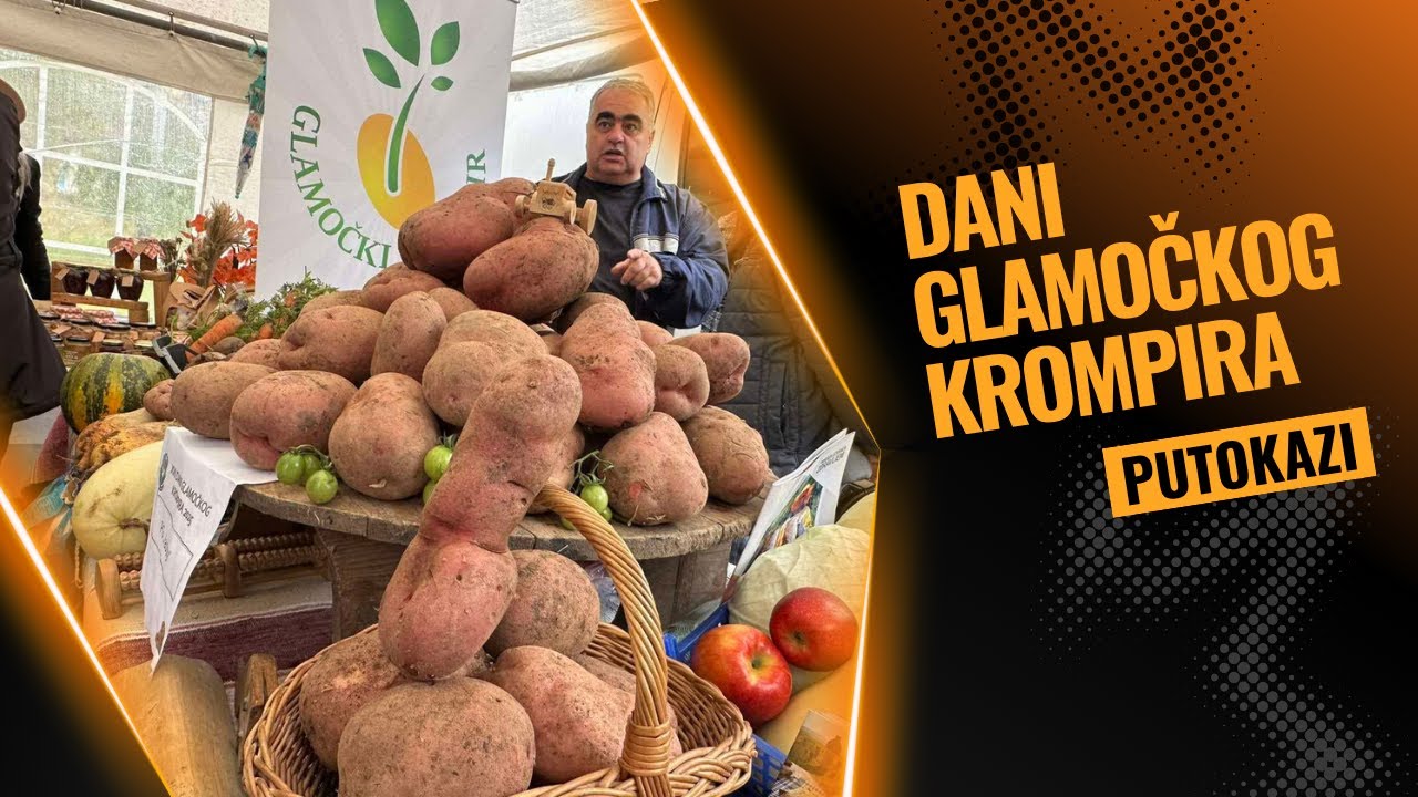 Putokazi - Dani glamočkog krompira  II TOK TV II 2025