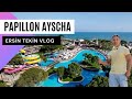 Papillon Aycha VLOG