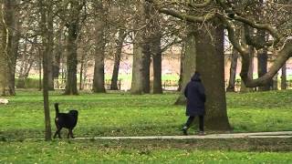 Drtv Flits - Wandelpad Op De Worp - Donderdag 31 Maart