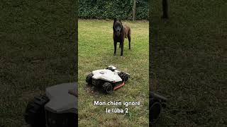 Pourquoi le Luba 2 awd 3000 de chez Mamotion.