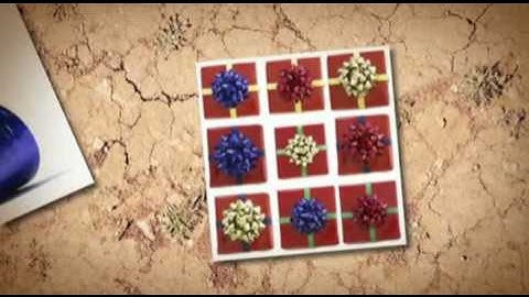 video.diginspire.com Template 7