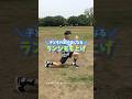 【100%足が速くなる】最強のランジトレーニングを解説🔥#足が速くなる #運動会