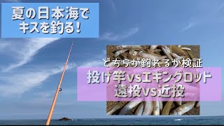 夏の日本海でキスを釣る！2020年7月　投げ竿とエギングロッド　どちらが釣れるか検証