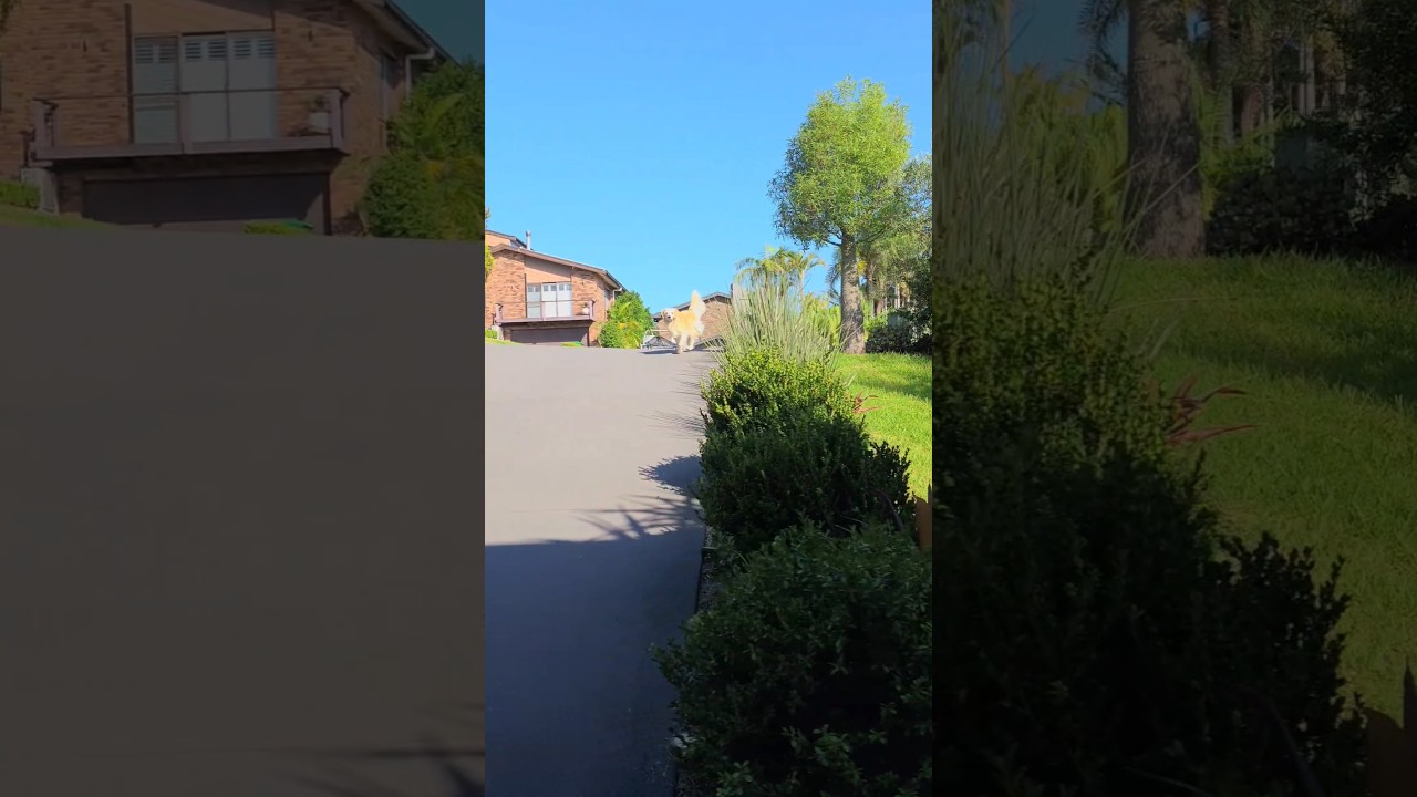 the magic words, "Time to eat!"  