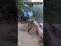 उत्तराखंड के देवभूमि में गौ सेवाही सर्वोपरि l देखें देखेंयहां गायों को l🌺🌸🌺🌸