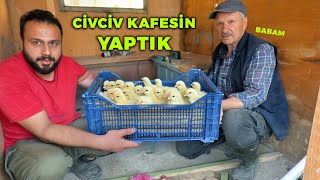 Babamla Civciv Kafesi Yaptık - Minik Civcivleri Yeni Yerlerine Taşıdım - Çiftlik İşleri