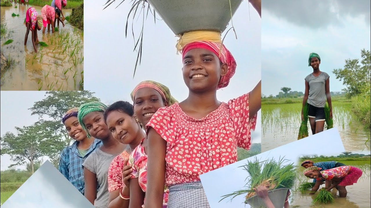 AALE DISOM BAT KAMI AADI RASKA GE#Champaranimardi - YouTube