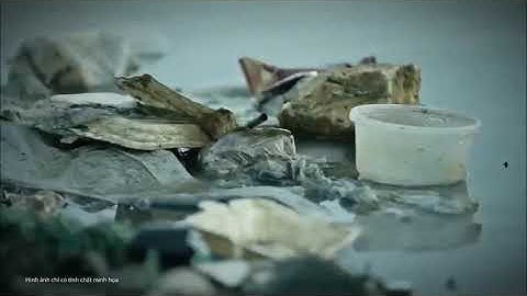 Thực trạng nguồn nước Việt Nam