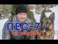 Пёс-7 (Пес-6 продолжение) новое видео со съёмок и ответы на вопросы (Никита Панфилов, Михаил Жонин)