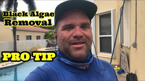 Black Algae Removal Process. Pro Tips!!
