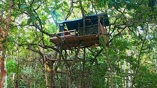 camping in the rubber plantation forest // making a house on a tree