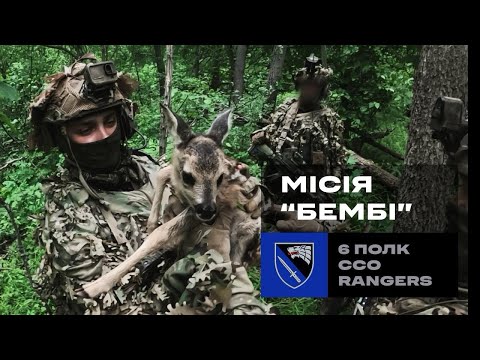 SSO raid: captured occupiers and a rescued fawn